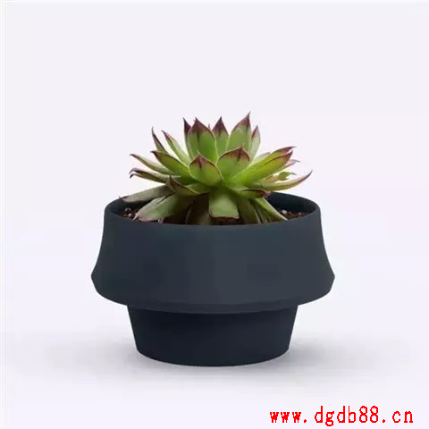硅膠環(huán)保盆栽制品